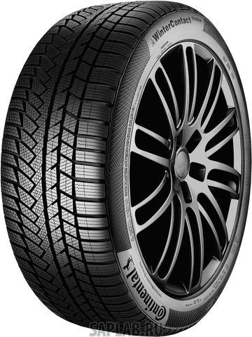 Купить CONTINENTAL 0353130 Шины Continental CONTIWINTERCONTACT TS 830 205/60R16 96H