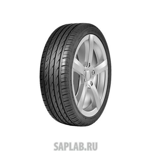 Купить DELINTE 6901532201320 Шины Delinte DH2 175/65 R14 82H