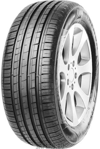 Купить MINERVA MV844 Шины Minerva F209 195/55 R15 V 85