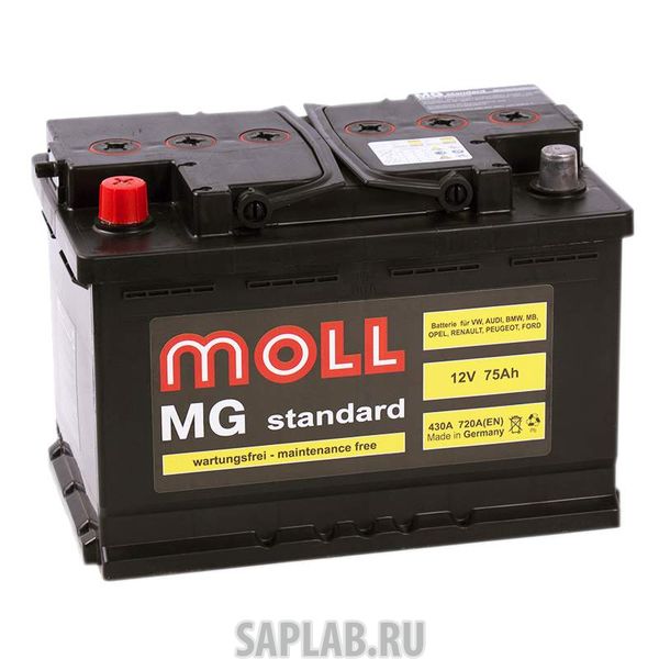 Купить MOLL MG75L Аккумулятор MOLL MG 75L 614