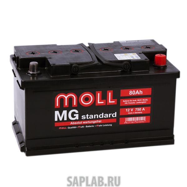 Купить запчасть MOLL - MG80SR 