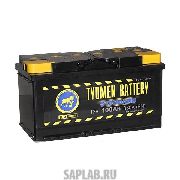 Купить ТАЗ 6СТ100ППST Аккумулятор легковой